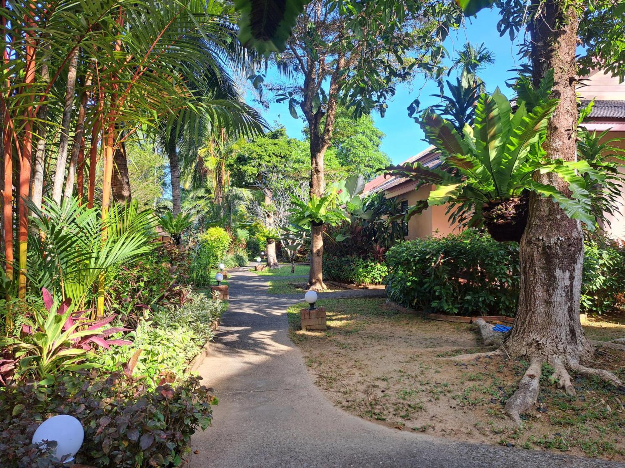 Jasmin Resort - Sha Plus Khao Lak Room photo
